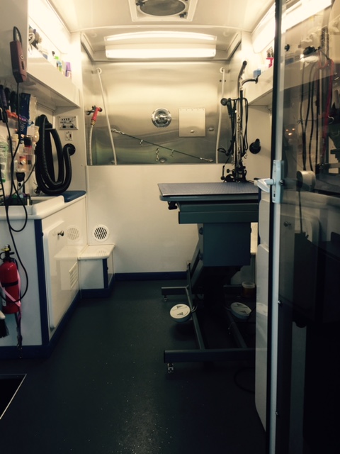 Inside The Grooming Van